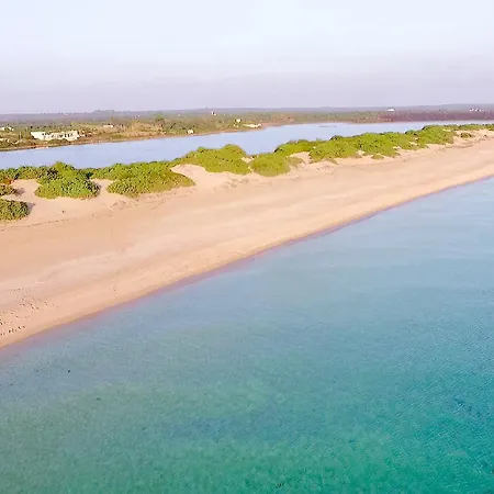 Casa Tulipano 2 Dx A 200 Mt Dal Mare Di * Torre Colimena