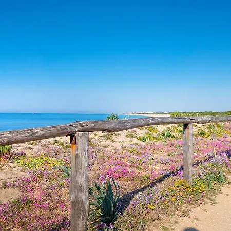 Holiday home Casa Tulipano 2 Dx A 200 Mt Dal Mare Di